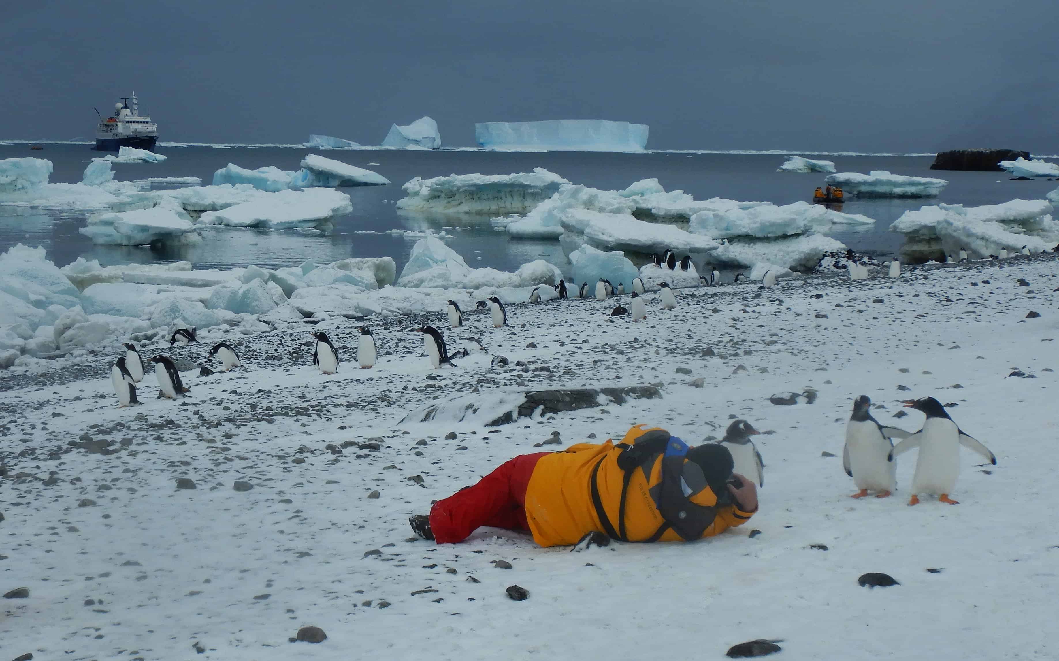 Snapped a picture of my photographer friend Rand taking pictures of penguins on the beach at Brown Bluff, Antarctica. Antarctica expedition